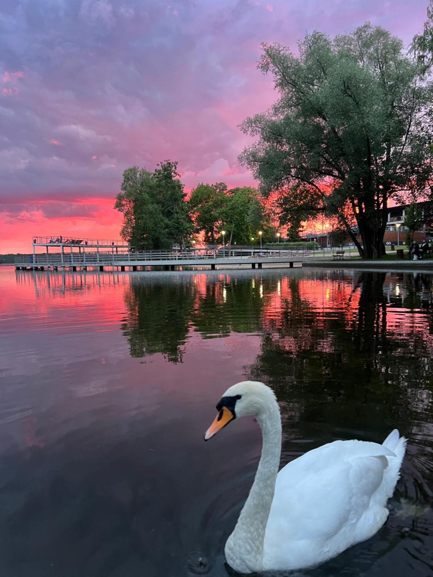 Apartament Ptasie Radio Szczecinek Luaran gambar